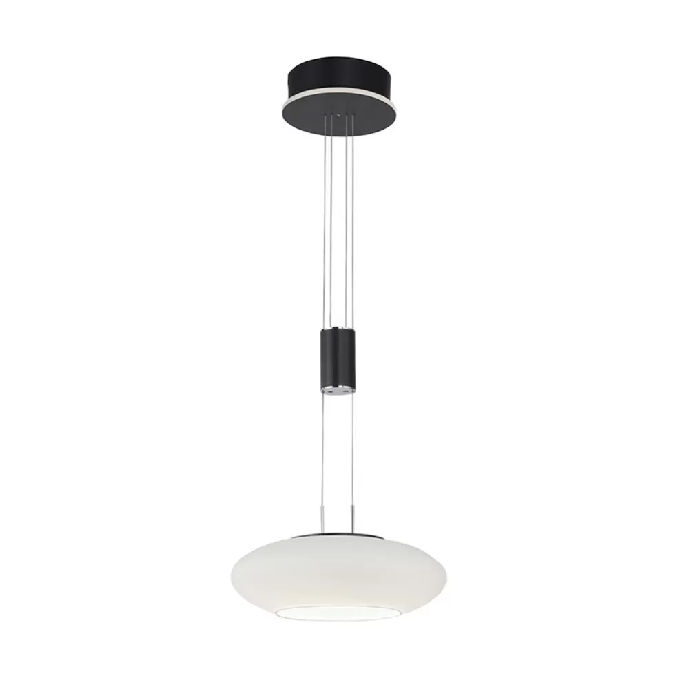 Store Straluma Smart hanglamp mat zwart met opaal glazen kap