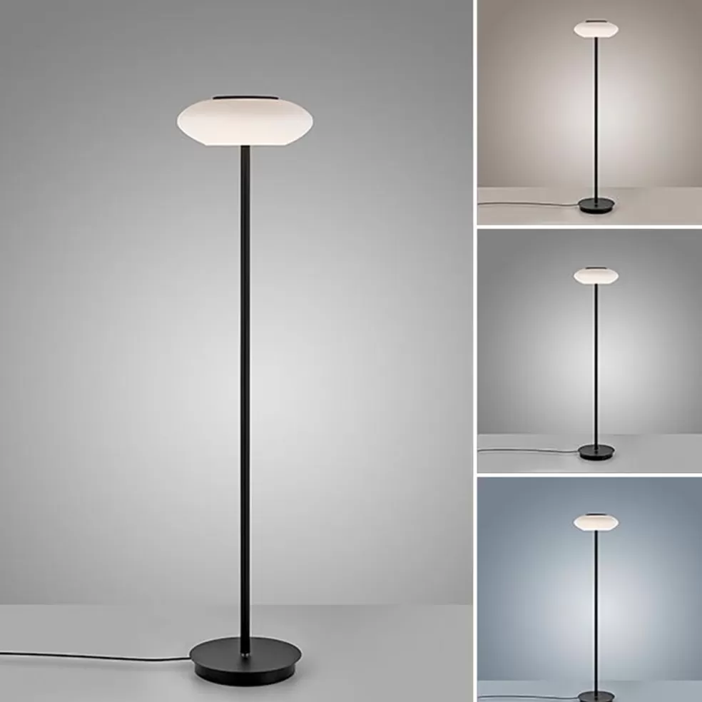 Cheap Straluma Smart vloerlamp zwart met wit glas dimbaar